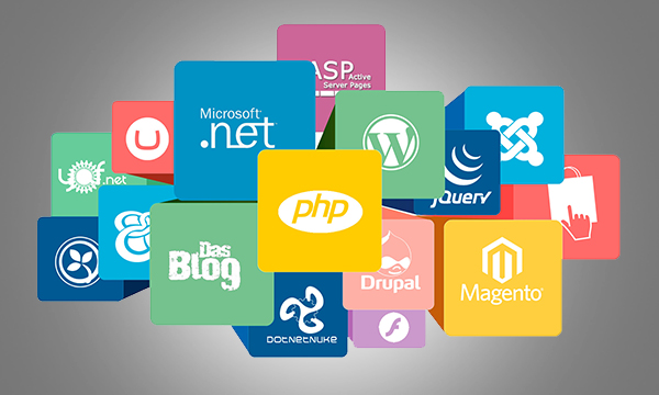 Web Development